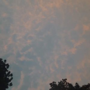 Meet your Posher, Nb